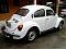 beetle79